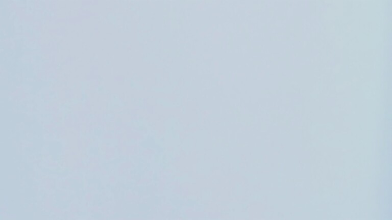 Daniicollin's Streamate show and profile