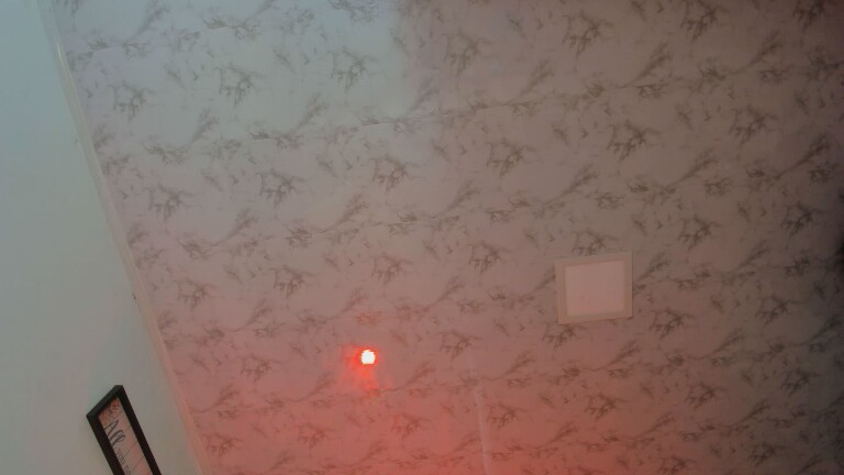 aliceee18's Streamate show and profile